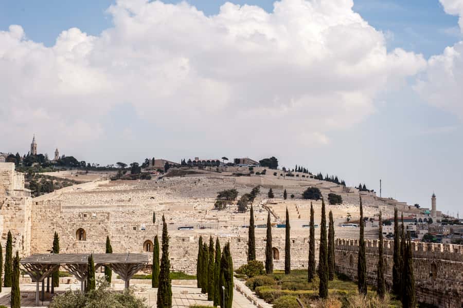 Full Day City Tour of Jerusalem - Key points to know before booking