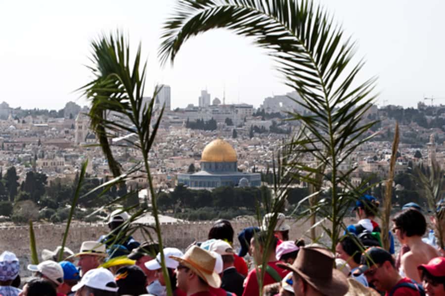 Full-Day Palm Sunday Procession from Jerusalem or Tel Aviv - Bethpage and the story of the donkey