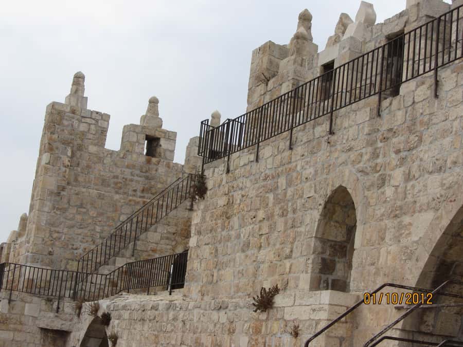 Full-Day Palm Sunday Procession from Jerusalem or Tel Aviv - The Judean desert and Jordan Valley views