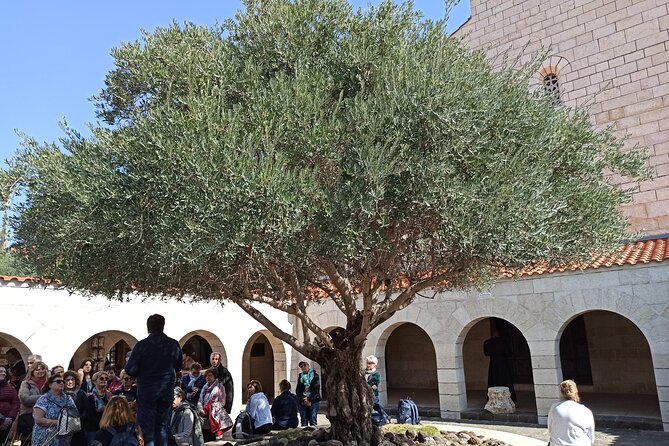 Full Day Tour to Nazareth and the Sea of Galilee - Mount of Beatitudes and the Sermon on the Mount