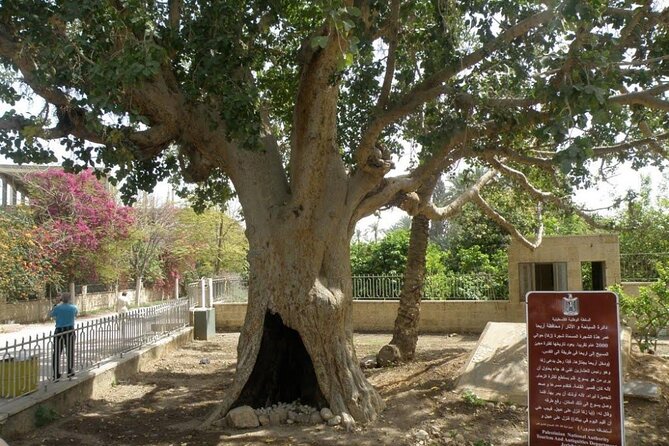 FullDay Bethlehem Jericho Guided Tour From Jerusalem -small group - Olive wood, coffee, and a useful break