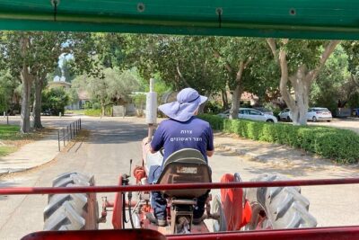 Fully Inclusive The Israeli Kibbutz Experience
