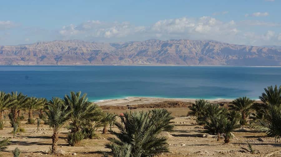Fun day in Dead Sea SPA hotel (with lunch) in Russian - Why this Dead Sea outing works
