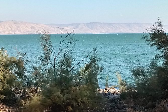 Galilee Day Tour - What the guide and group size add