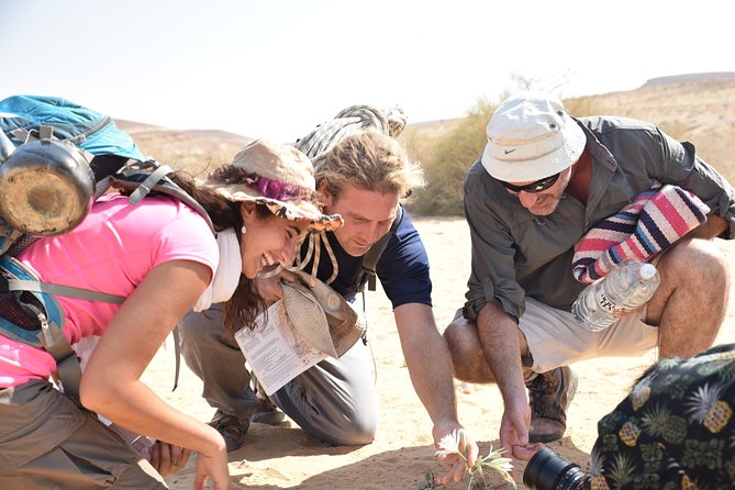GoKedem 5-Day Private All-Inclusive Cross-Israel Adventure - Day 4: Masada, the Dead Sea, and Qumran
