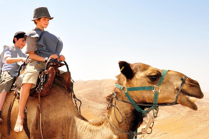GoKEDEM Masada, DeadSea Camel Ride & Beduin Feast Tour From Tel Aviv - Why the private Tel Aviv departure is useful