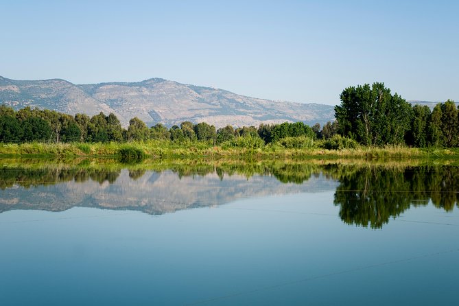 Golan Heights Day Trip from Tel Aviv - Why the Golan Heights are worth the long ride