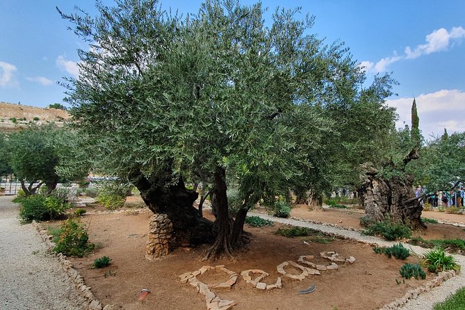 Holy Land Gateway: Haifa Port to Jerusalem & Bethlehem - Mount Zion brings several important sites together