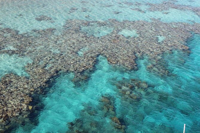 Introductory Dive in Eilat - The 15-Minute Safety Briefing