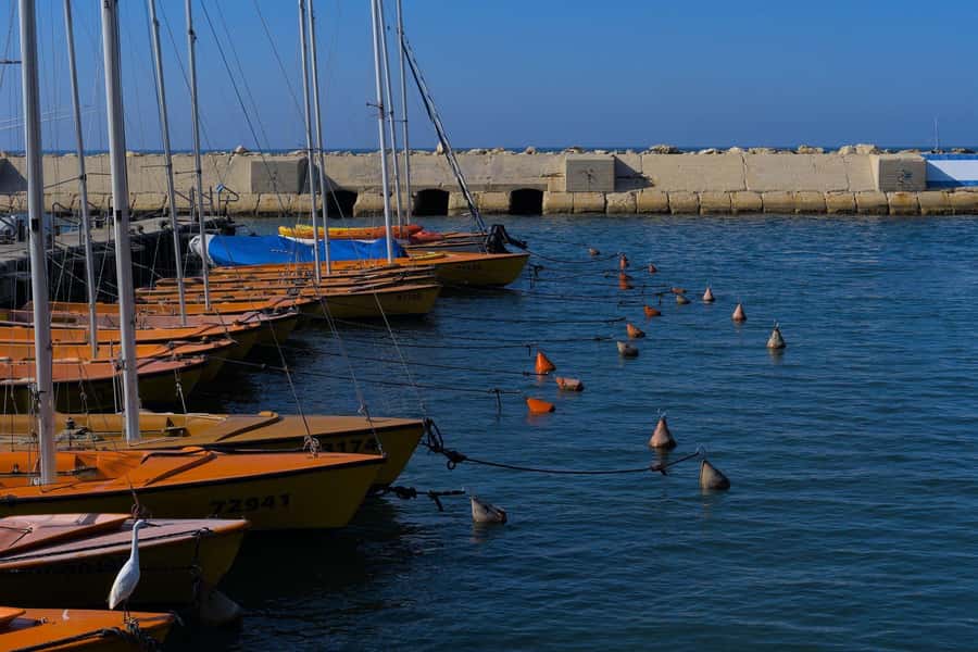Jaffa: Old City, Port & Shuk Hapishpishim Walking Tour - Shuk Hapishpishim, where shopping becomes part of the story
