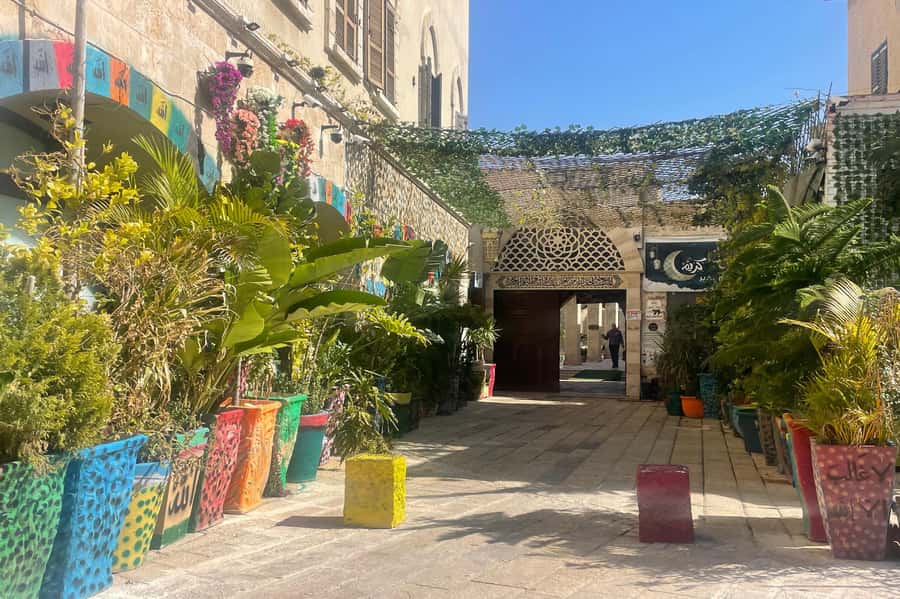 Jaffa: Old City, Port & Shuk Hapishpishim Walking Tour - What $39 gets you