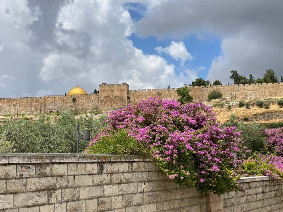 Jerusalem: 3–Hour Old City Tour in French - Starting at Jaffa Gate and the Mamilla meeting point