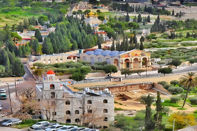 Jerusalem and Bethlehem Tour - The Garden of Gethsemane and Kidron Valley