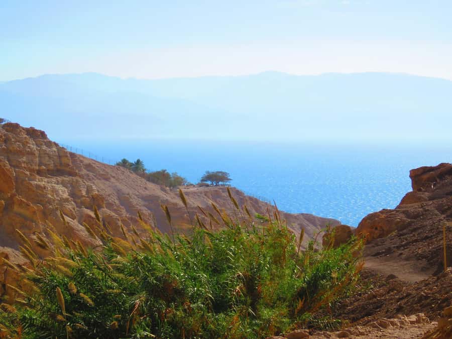 Jerusalem: Masada, Ein Gedi & Dead Sea Tour - Who should book this tour?