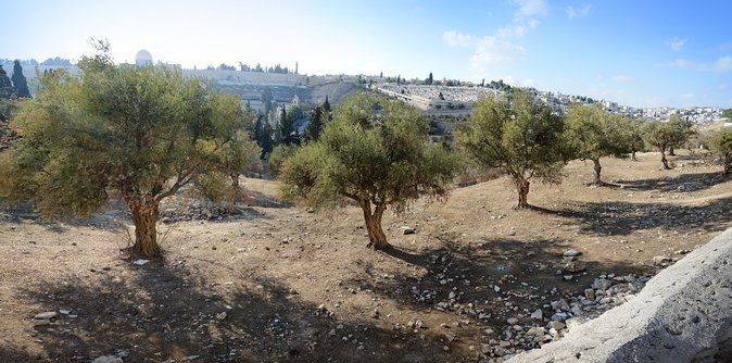Jerusalem Old City from Tel Aviv - Strong guides make a major difference