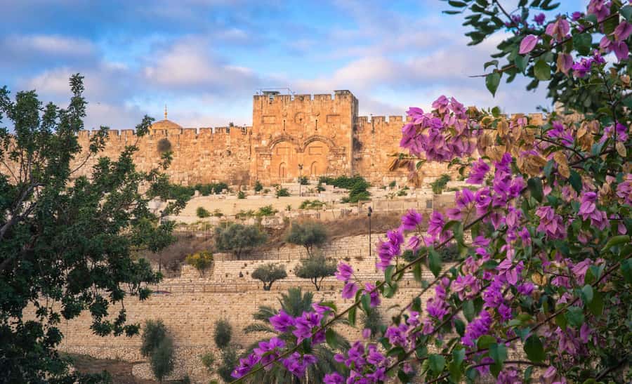 Jerusalem: Old City Morning Tour - What $39 buys you