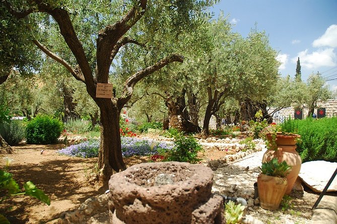 Jerusalem Old City & Mount Zion Day Tour - Key points before you book
