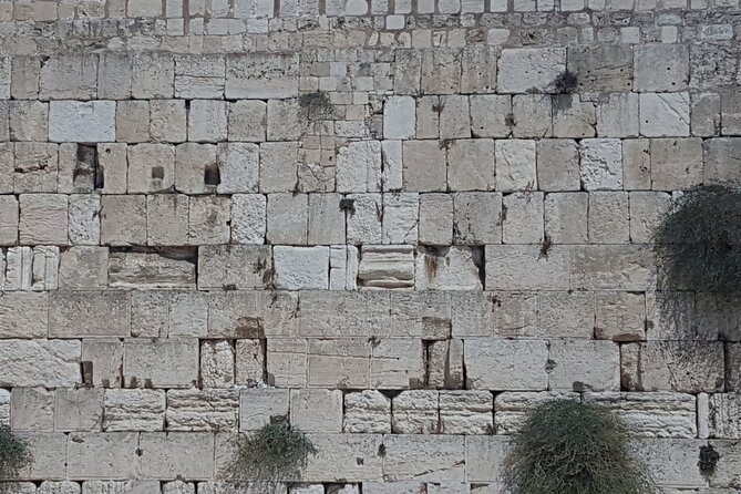 Jerusalem Private Full Day Tour - Jerusalem’s Walls, Saint Stephen, and Mount Zion