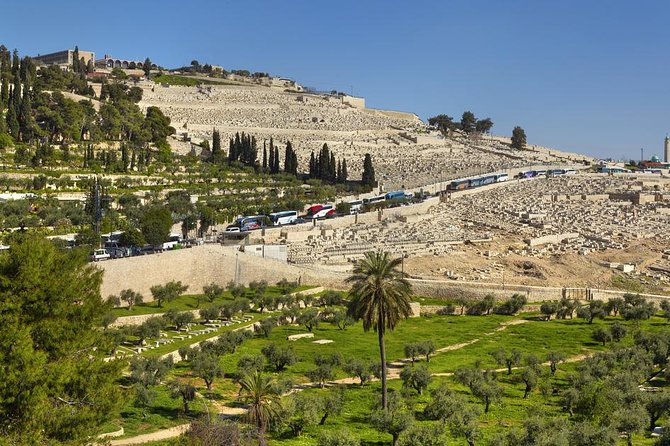 Jerusalem Temple Mount & Dome of the Rock - Mount of Olives: the best opening view