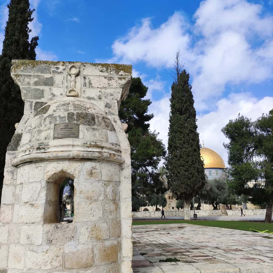 Jerusalem: Tour with Private Guide - The guides are the real value