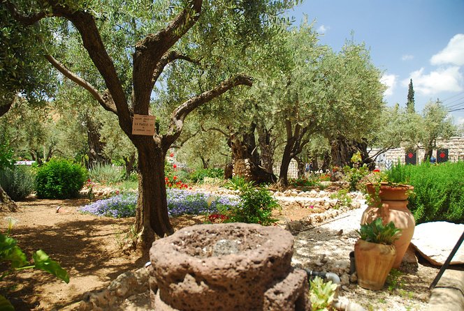 Jerusalem Walking Tour: In the Footsteps of Jesus - What the guide adds to the day