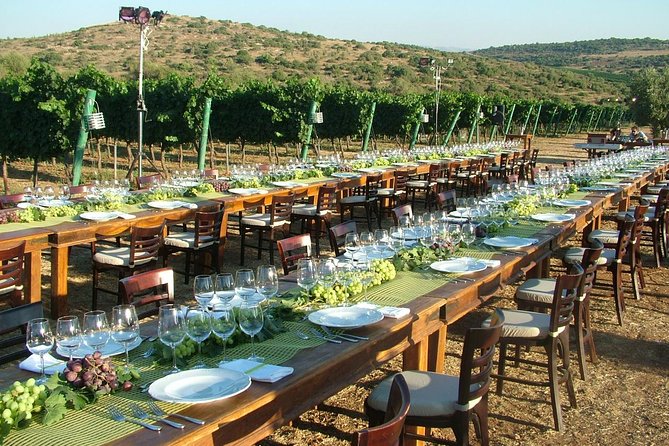 Judean Hills Wine Tasting Tour From Tel Aviv - Walking the Judean Hills vineyard terraces