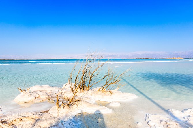 Masada and Dead Sea from Tel Aviv - Who will enjoy this day most