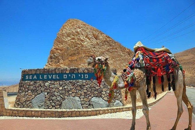 Masada, Dead Sea & Bedouin hospitality - Tiny group from Jerusalem - What the $279 price really covers