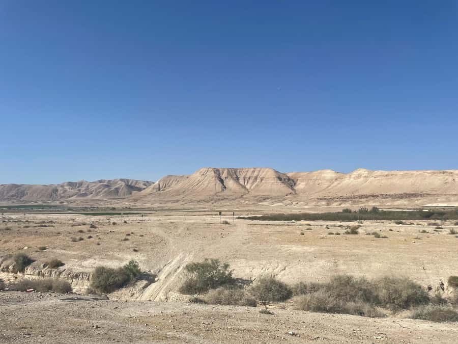 Masada Dead Sea: Small Group Tour from Tlv INCL. ENTRY FEES - Reaching Masada by cable car