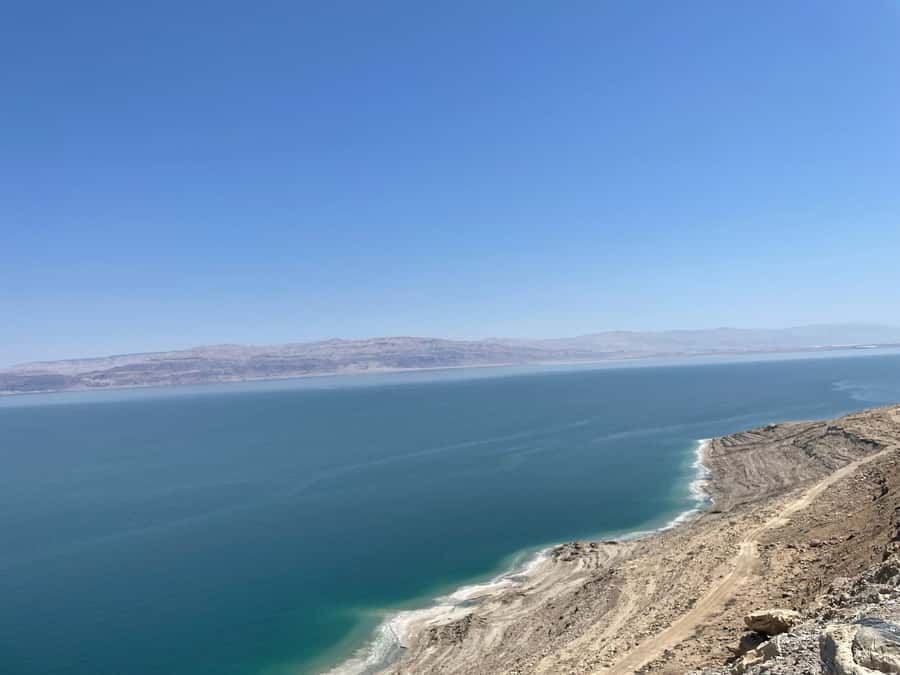 Masada Dead Sea: Small Group Tour from Tlv INCL. ENTRY FEES - The Dead Sea stop and the strange art of floating