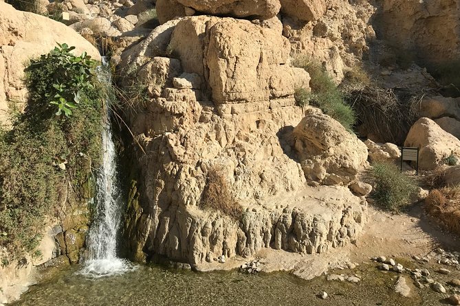 Masada, Ein Gedi and The Dead Sea from Jerusalem - The bus, group size, and basic comfort