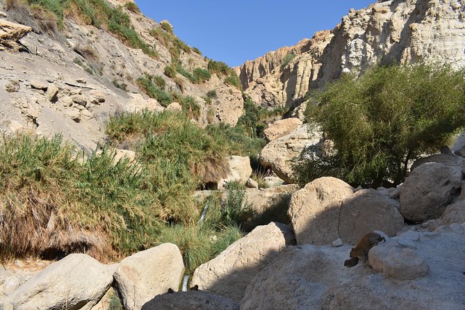 Masada, Ein Gedi, and The Dead Sea from Tel Aviv - The guide can make or break the day