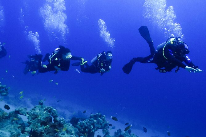 PADI Open Water Diver Course - 5 Days Scuba Diving - Who will get the most from this course