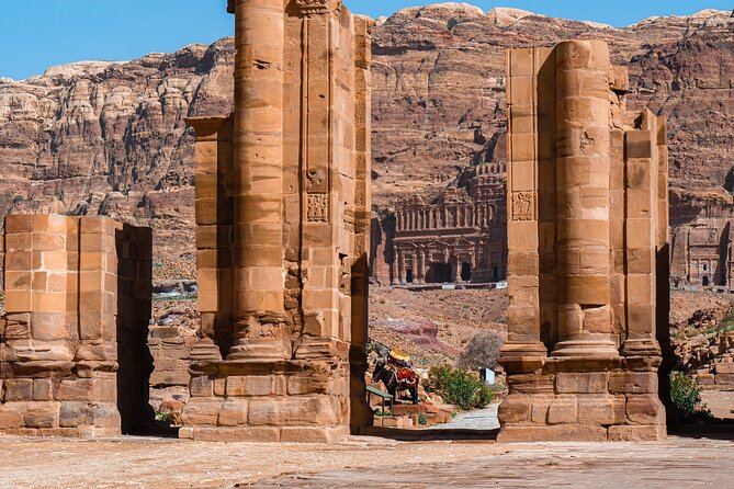 Petra 1-Day Tour from Eilat + FREE Traditional Lunch - How the organization has performed