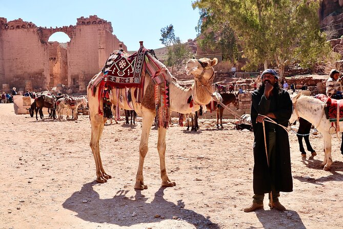 Petra 1-Day Tour from Tel Aviv with FREE Authentic Lunch - The return to Tel Aviv