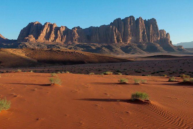 Petra and Wadi Rum 2 Days 1 Night Tour from Eilat Border - What the $635.90 price covers