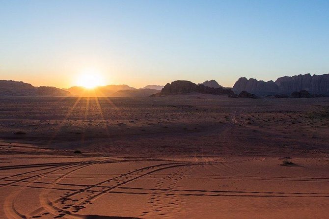 Petra and Wadi Rum 2 Days 1 Night Tour from Eilat Border - The human side of the experience