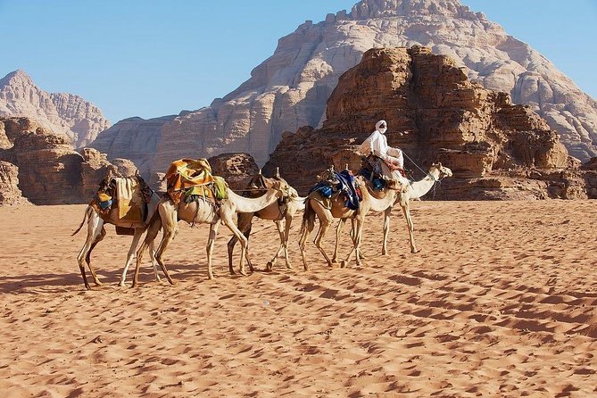 Petra & Wadi Rum 3 Days 2 Tour Nights from Eilat border - The service details that matter most