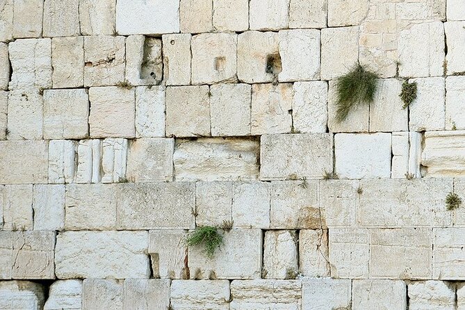 Private Day tour from Haifa to Jerusalem - Walking through the Old City market