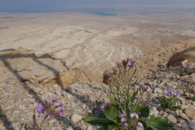 Private Day Tour in Masada and the Dead Sea - Why this private desert day works