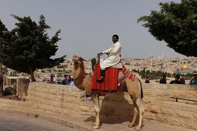 Private day trip to the Old City of Jerusalem - Gethsemane and the Church of All Nations