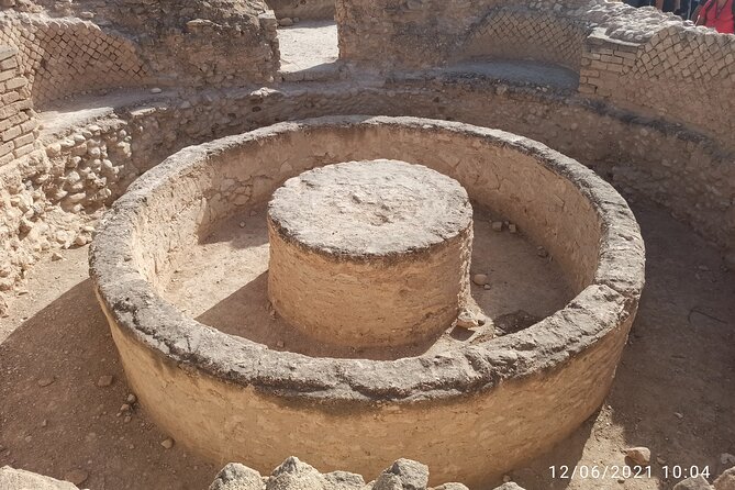 private Full-day Tour to Jericho + the Dead Sea - Zaccheus’ Tree, a quick biblical photo stop