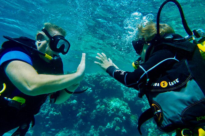 Private Scuba Diving Tour with Transportation and Guide - Why the guide matters more than the equipment