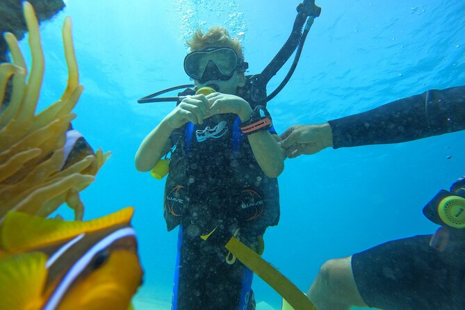 Private Scuba Diving Tour with Transportation and Guide - Photos and video are part of the value