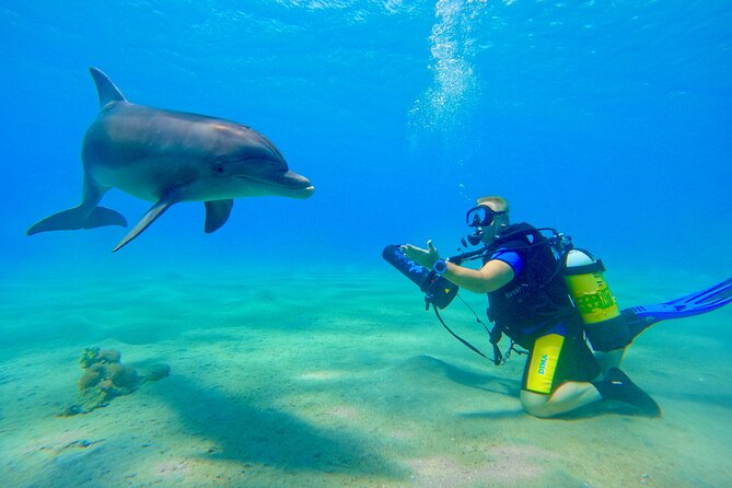 Private Scuba Diving Tour with Transportation and Guide - Is $220 per person a fair price?