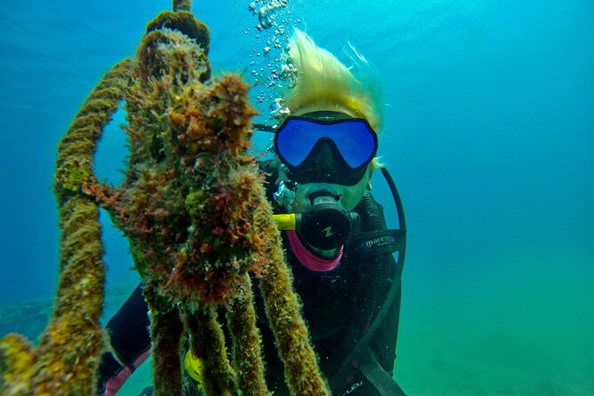 Private Scuba Diving Tour with Transportation and Guide - Who will get the most from this experience?