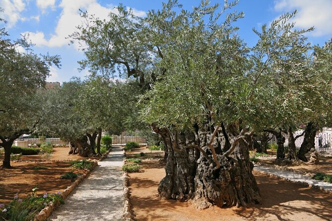 Private Tour : Jerusalem Old city day trip from Jerusalem - Why a private guide helps in Jerusalem