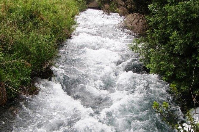 Private tour of the Israeli Far North - Tel Dan, Banias Reserve & Waterfall - Key points to know before booking