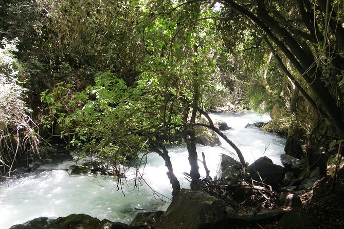 Private tour of the Israeli Far North - Tel Dan, Banias Reserve & Waterfall - The long road from Tel Aviv to Israel’s north