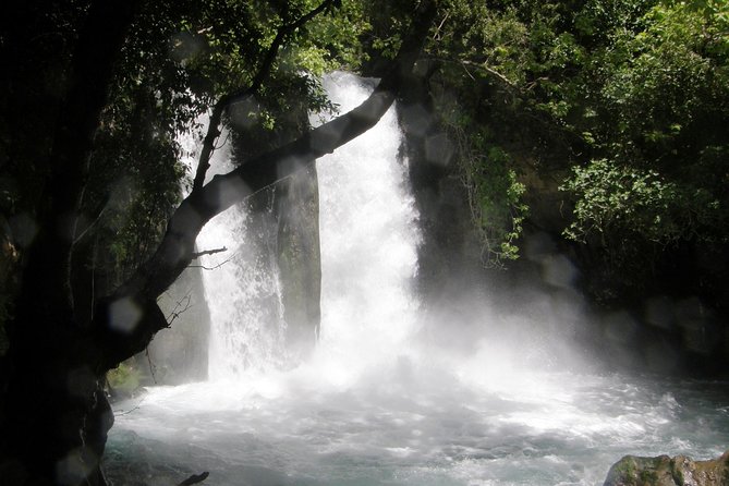 Private tour of the Israeli Far North - Tel Dan, Banias Reserve & Waterfall - What about Nimrod Fortress?